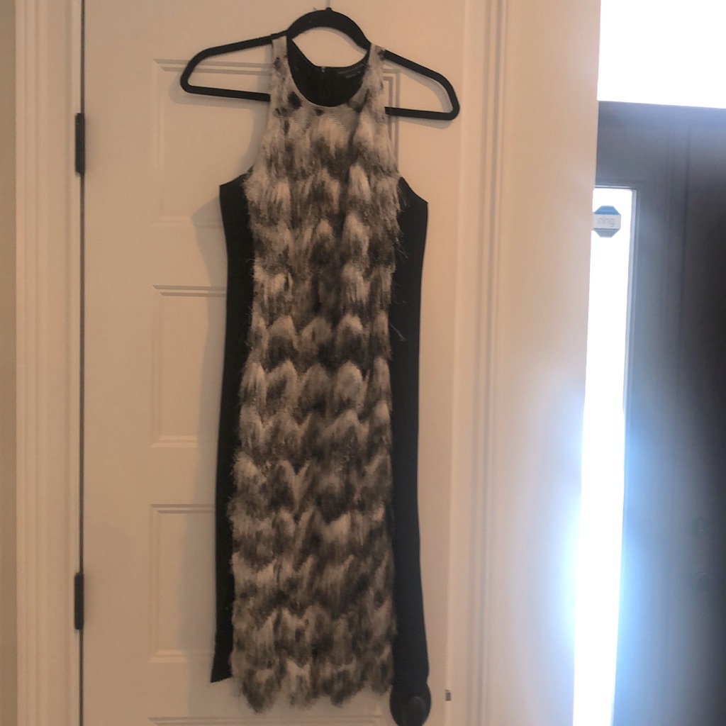 Sachin & Babi Fringe Front Dress Sz 4